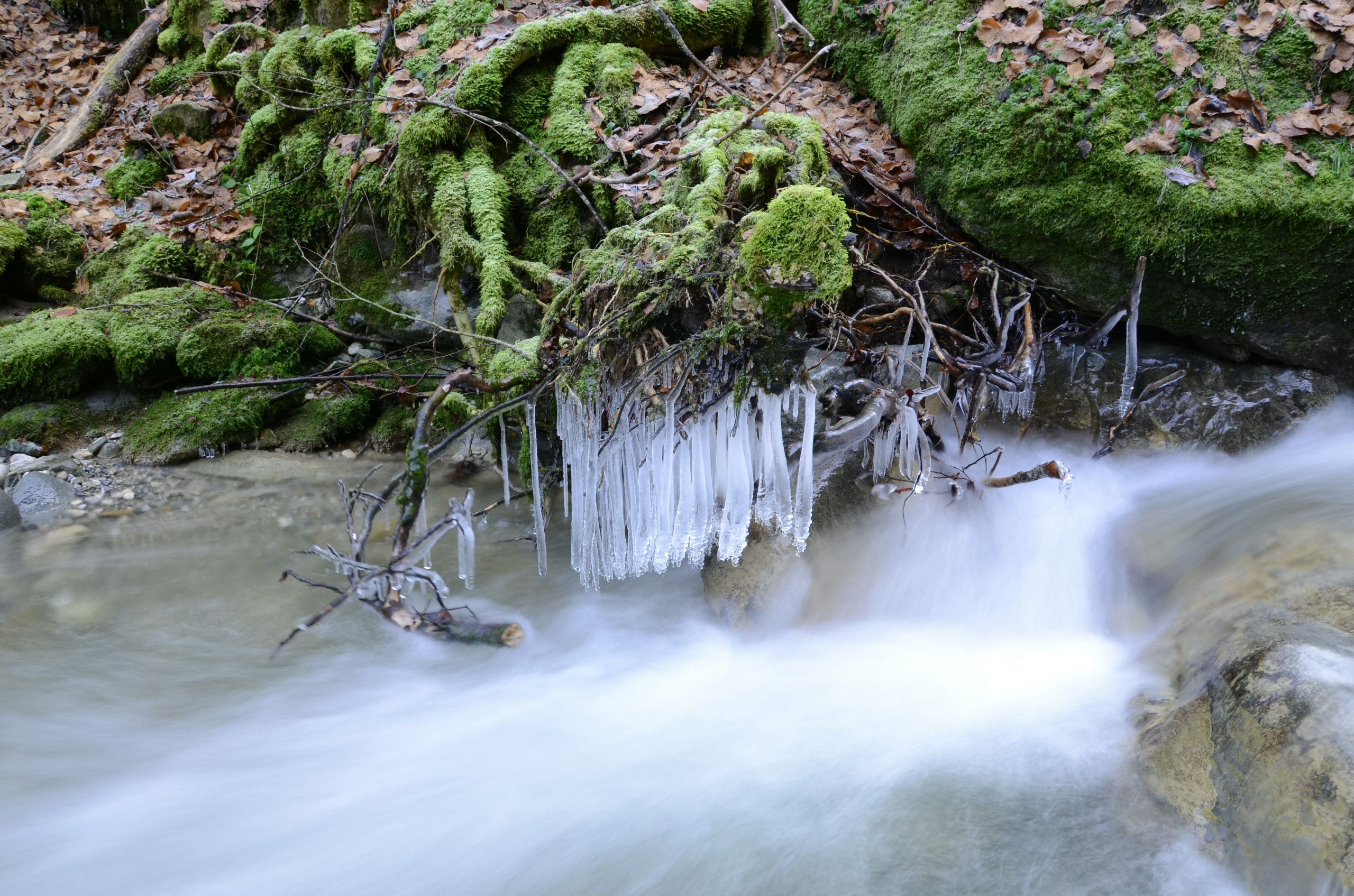 Wallpapers Nature Saisons - Winter 