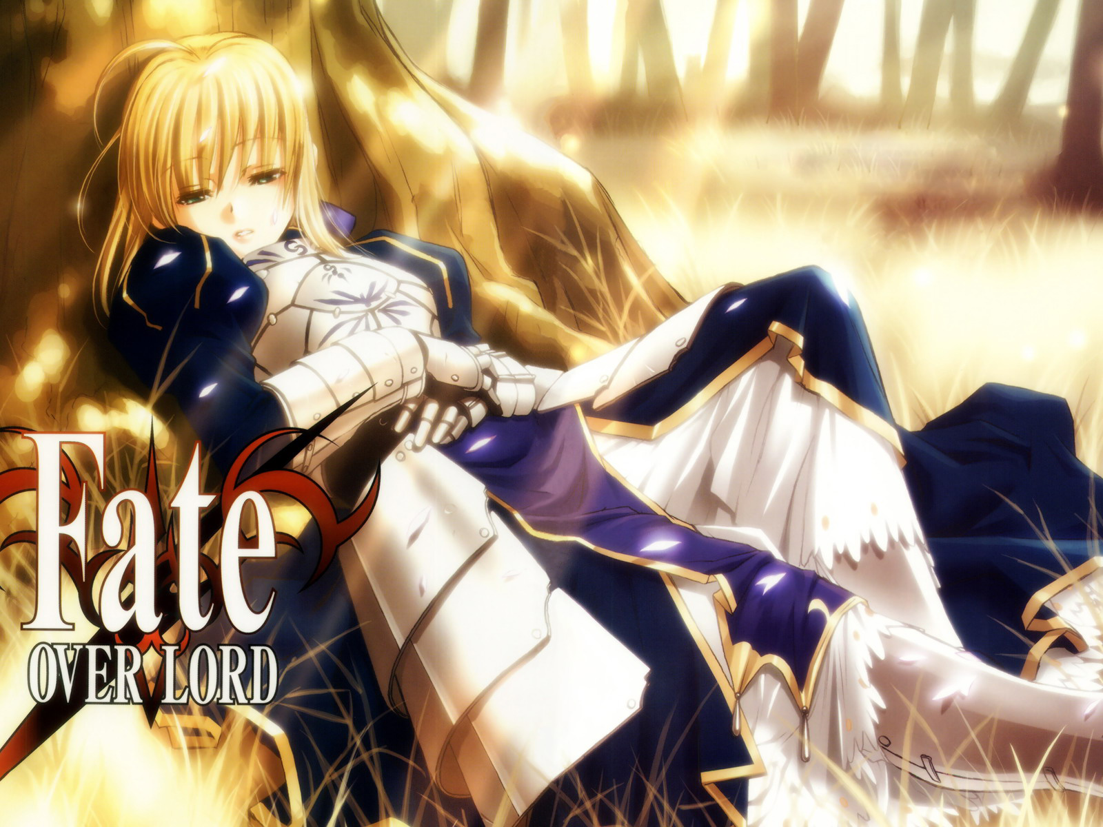 Wallpapers Manga Fate stay night / Fate project 