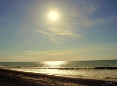  Nature Baie de la Somme