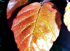  Nature Breath Of Autumn