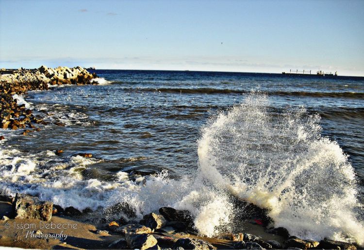 Fonds d'cran Nature Mers - Ocans - Plages Surf