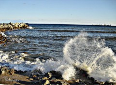  Nature Surf