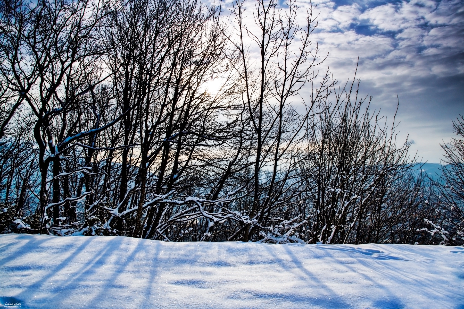 Wallpapers Nature Saisons - Winter Fort de cristal