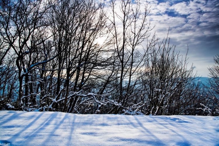 Fonds d'cran Nature Saisons - Hiver Fort de cristal