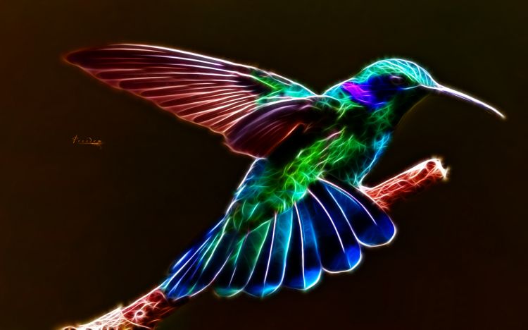 Wallpapers Digital Art Animals Colibri Fractale 