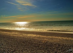  Nature Baie de la Somme