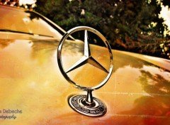  Voitures Mercedes-Benz