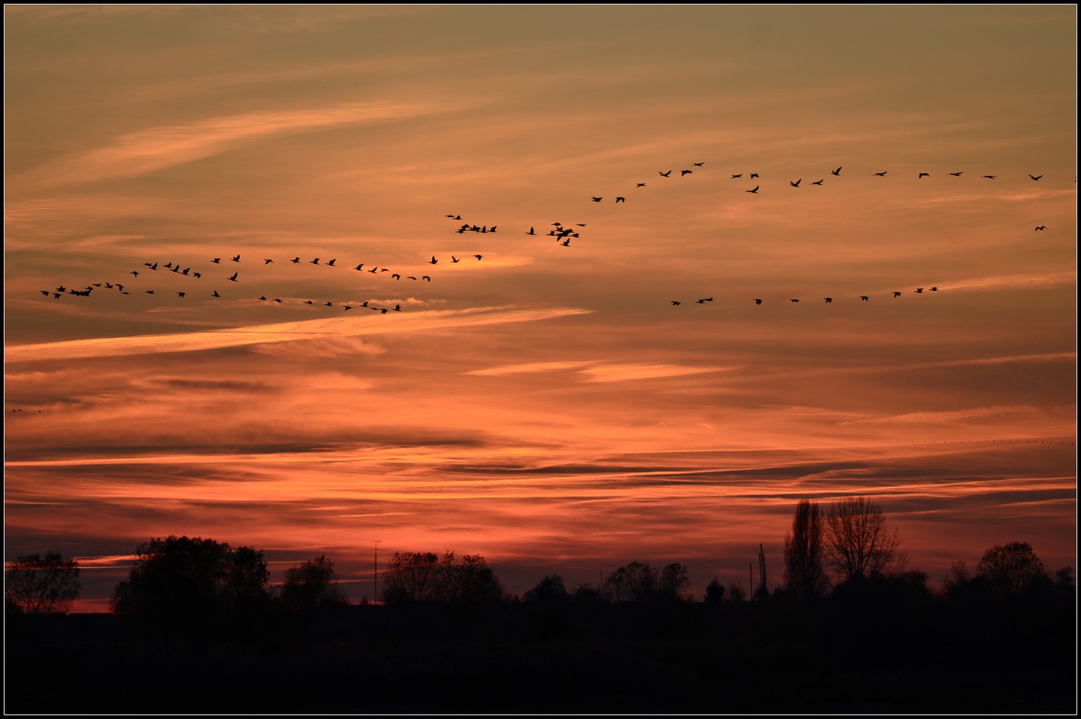 Fonds d'cran Nature Couchers et levers de Soleil 