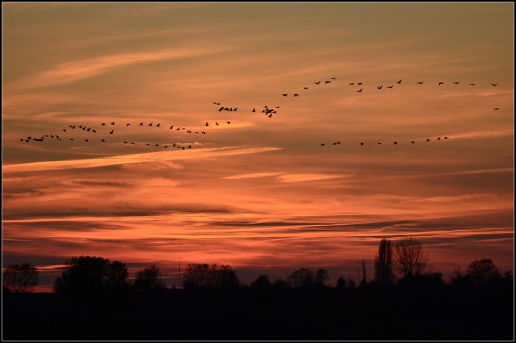 Fonds d'cran Nature Couchers et levers de Soleil Wallpaper N366329