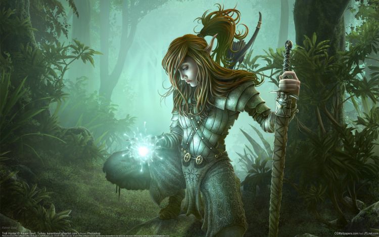 Wallpapers Fantasy and Science Fiction Elfs Troll Hunter