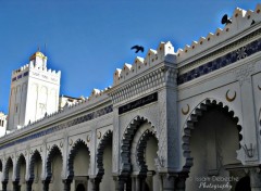  Constructions and architecture La Grande Mosquée