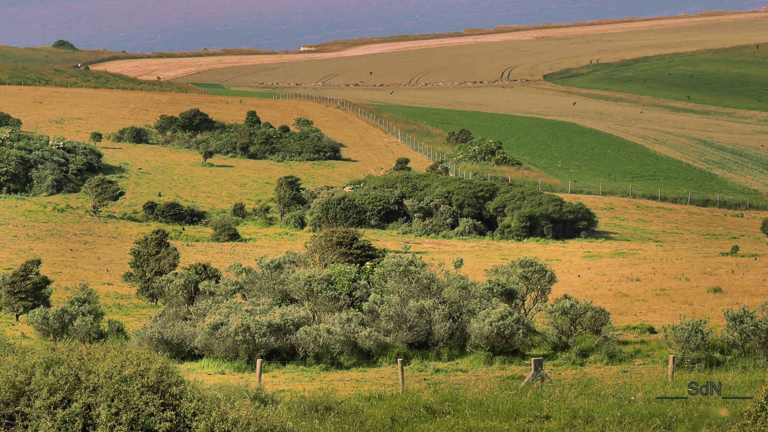 Fonds d'cran Nature Mers - Ocans - Plages LE CAP GRIS NEZ