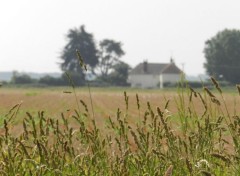 Fonds d'cran Nature Campagne Anglaise.