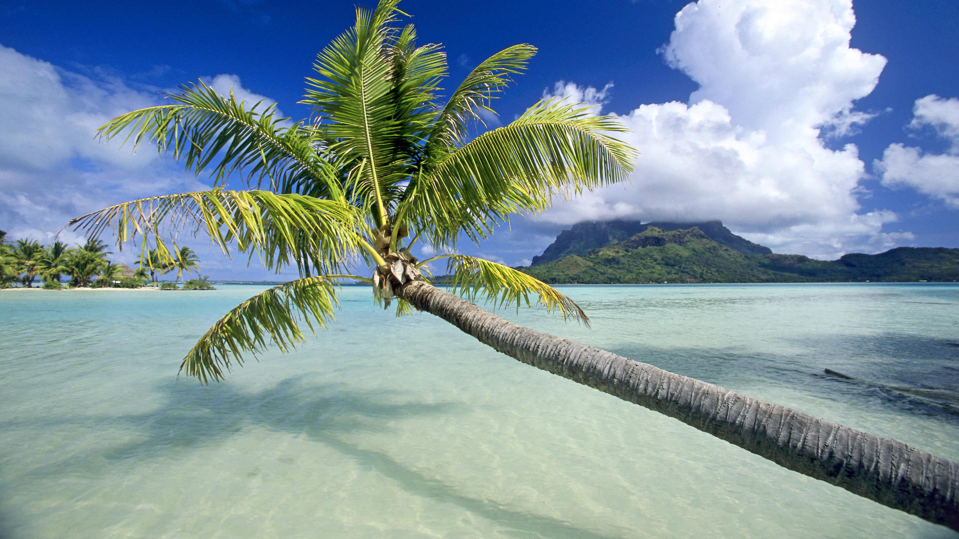 Wallpapers Nature Paradisiac Islands 