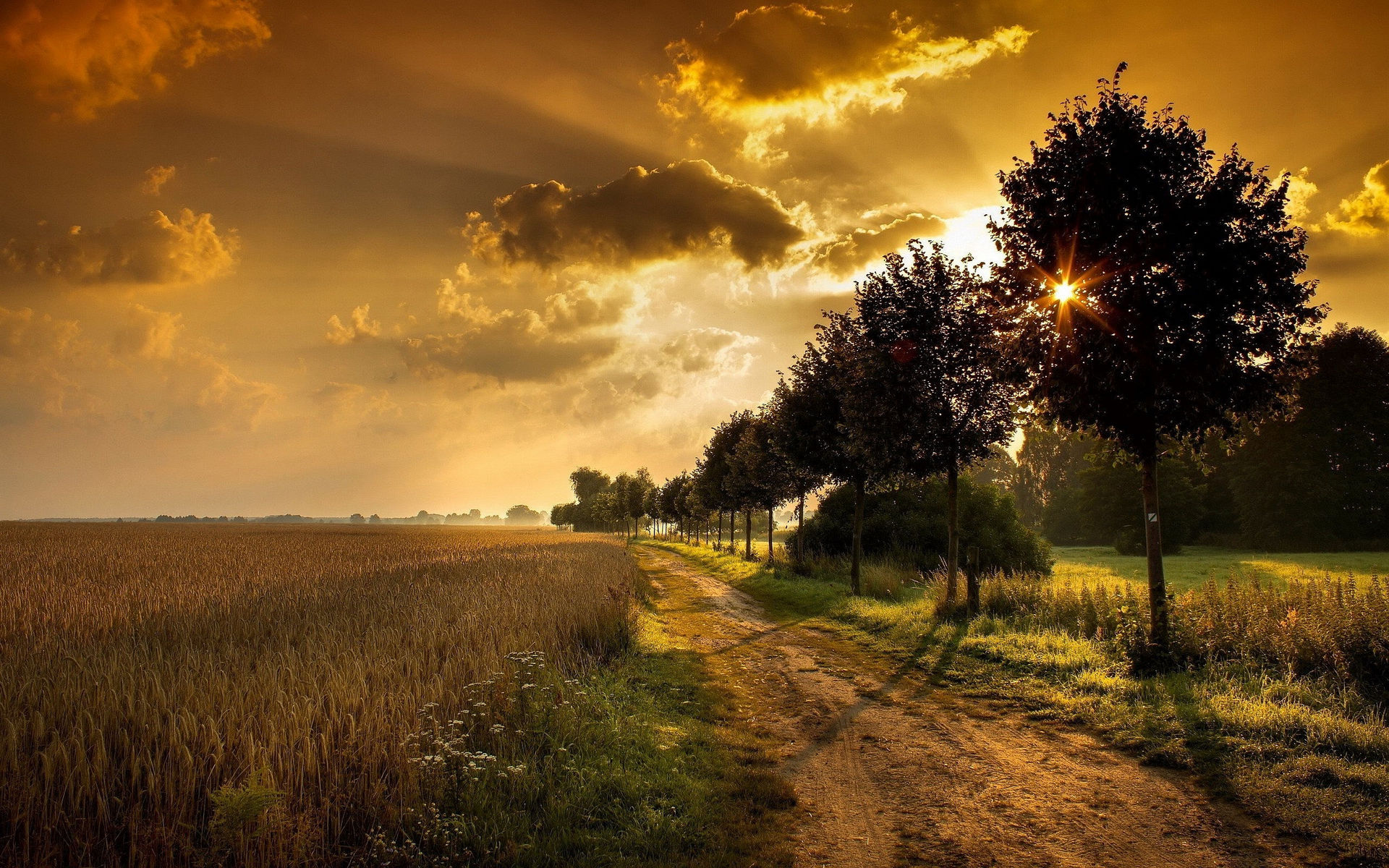 Fonds d'cran Nature Couchers et levers de Soleil 