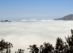  Nature Mer de nuages La Réunion