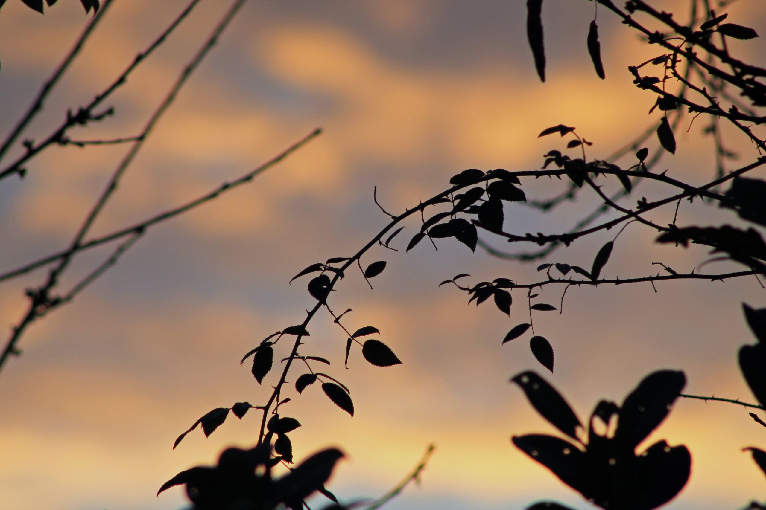 Fonds d'cran Nature Ciel - Nuages 