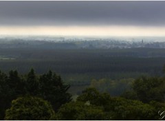  Nature campagne bordelaise