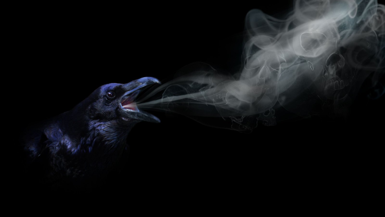 Wallpapers Digital Art Animals Raven-Skull