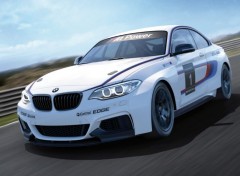  Cars bmw M235i Racing