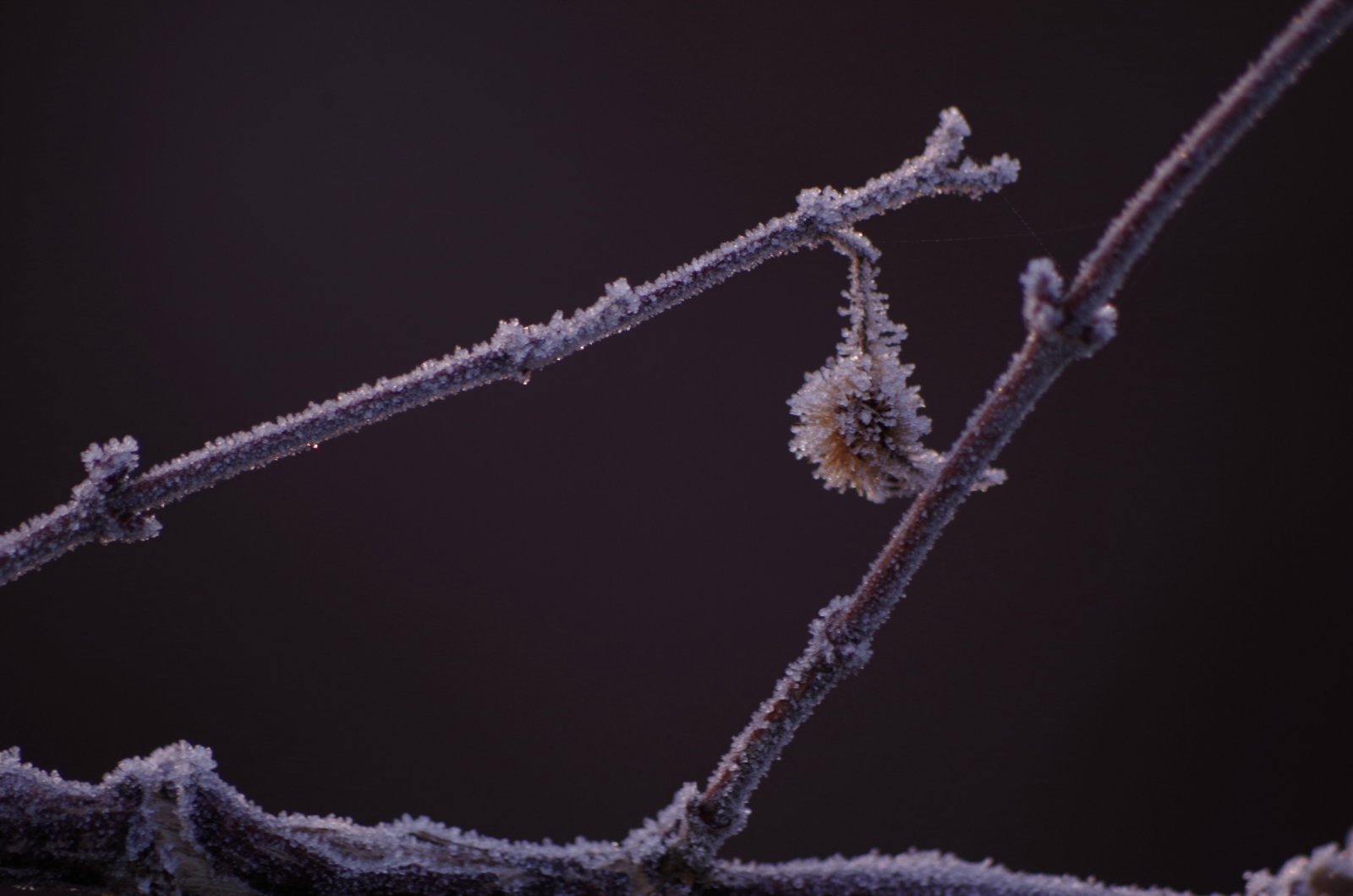 Fonds d'cran Nature Saisons - Hiver 