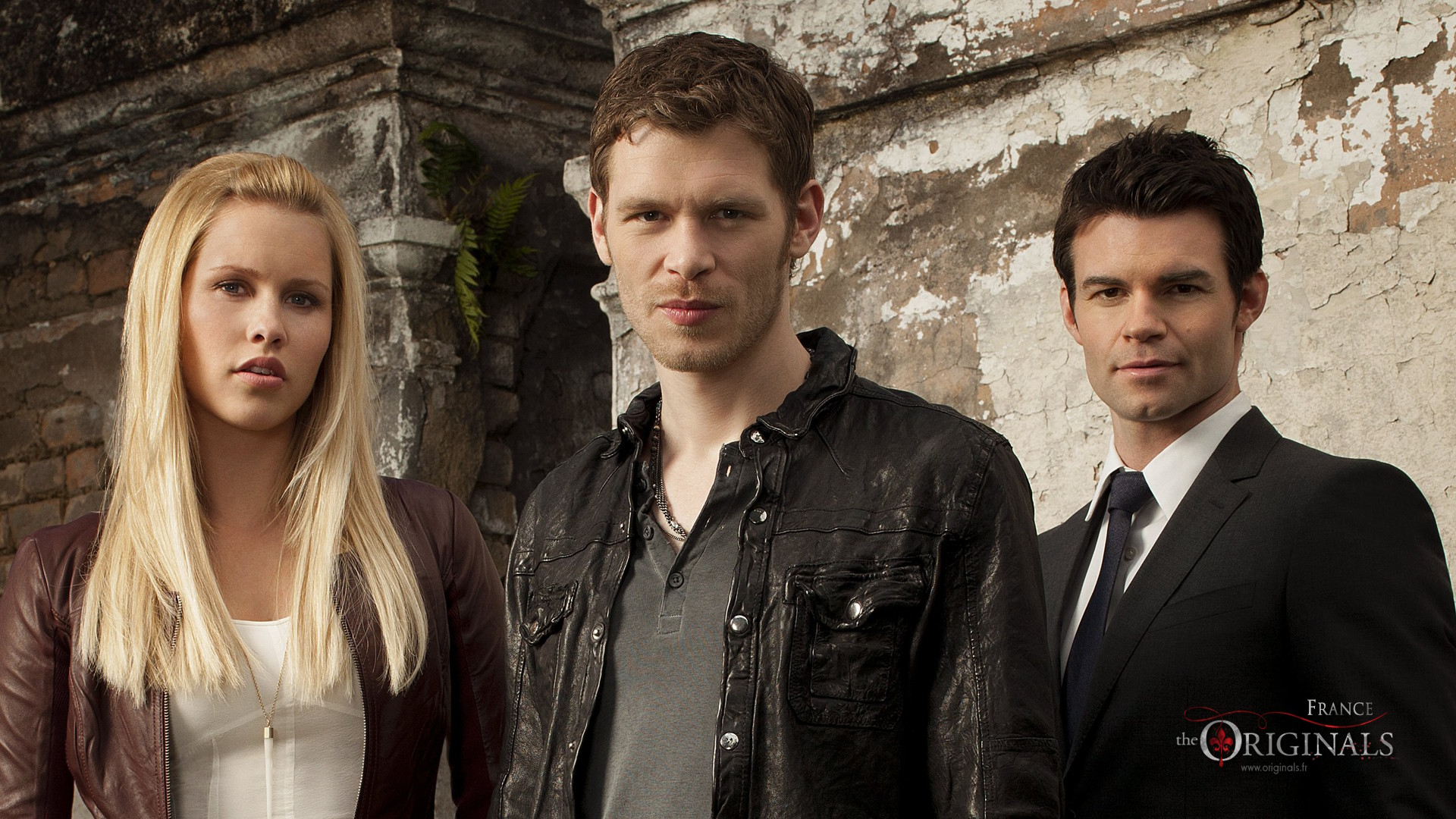 Fonds d'cran Sries TV The Vampire Diaries - The Originals The Originals