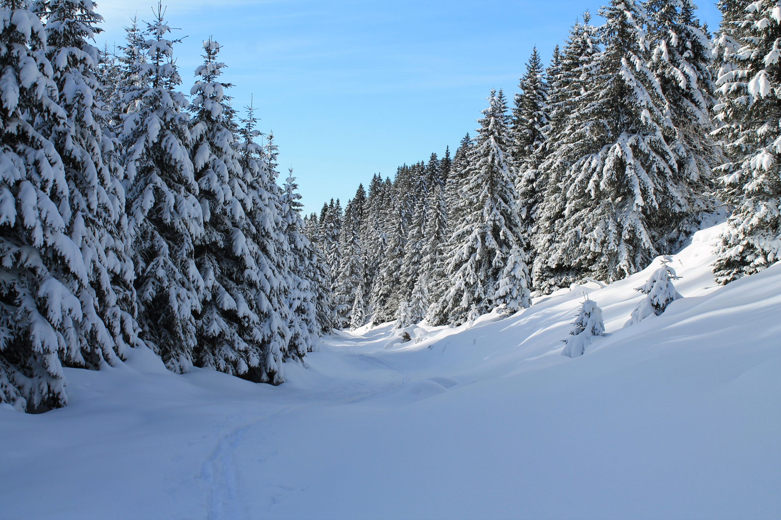 Fonds d'cran Nature Saisons - Hiver Thollon les Mémises