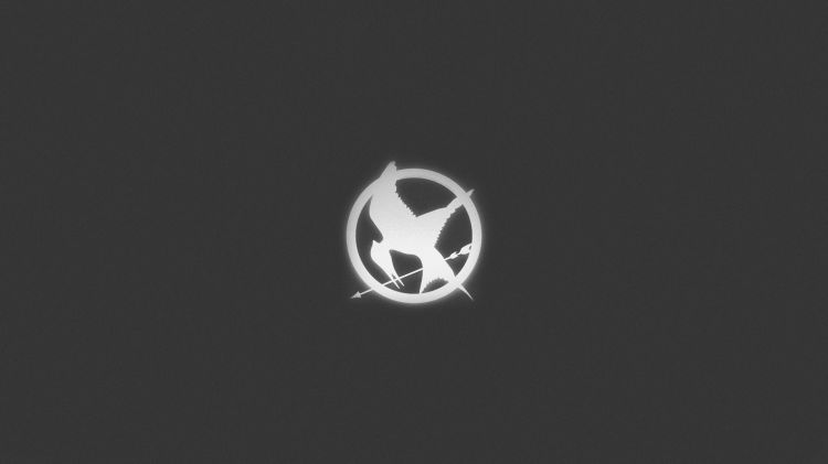 Wallpapers Movies Hunger Games MockingJay