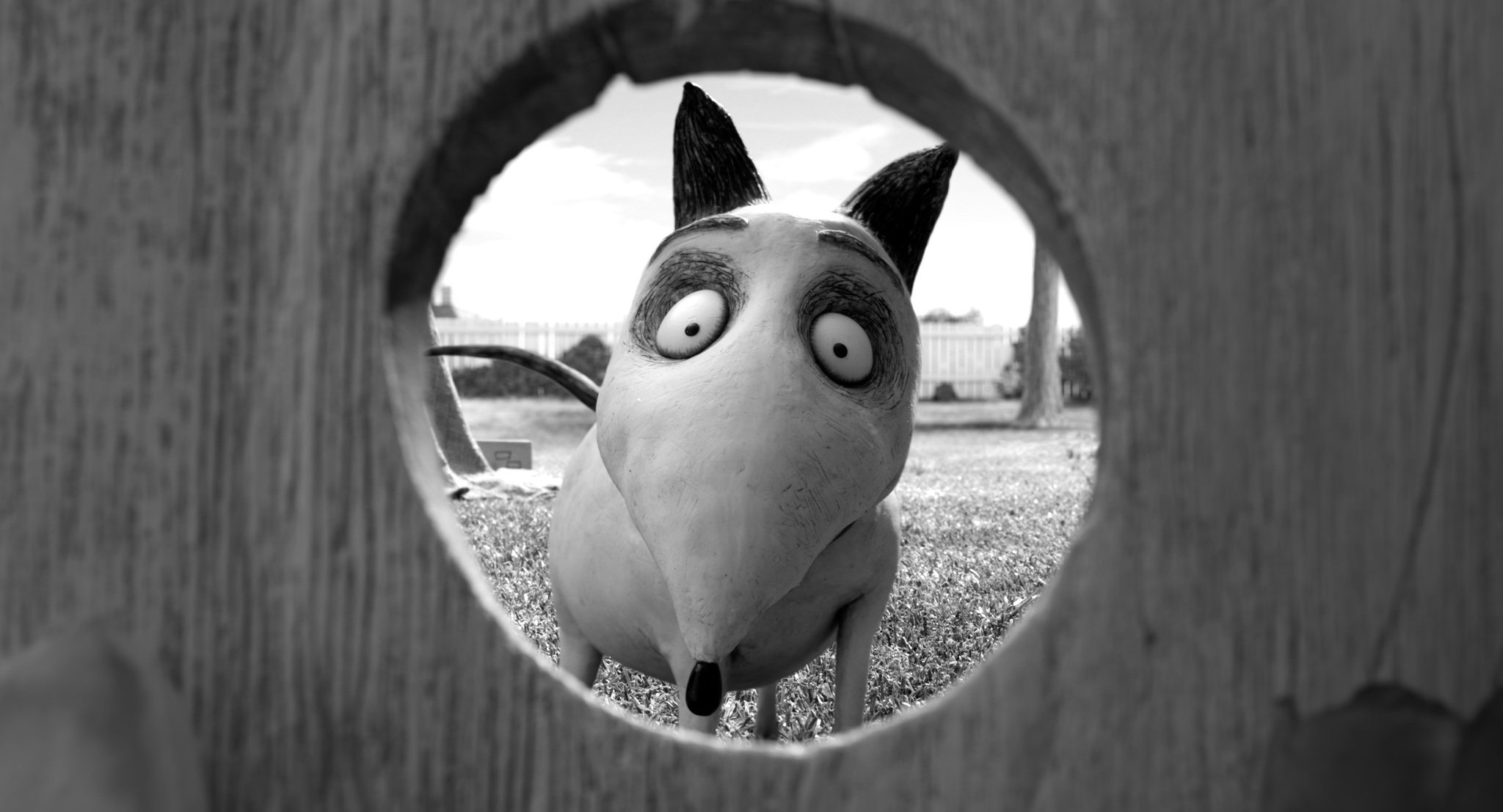 Fonds d'cran Dessins Anims Frankenweenie 