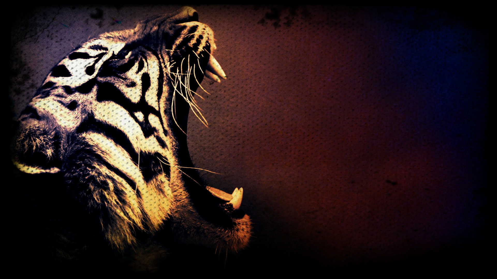 Wallpapers Digital Art Animals 