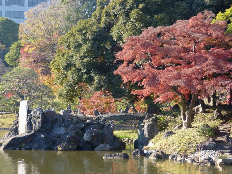 Fonds d'cran Voyages : Asie Japon Printemps Koishikawa K&#333;raku-en