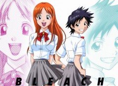  Manga Bleach