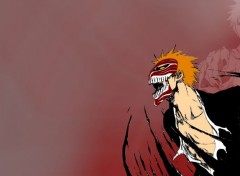  Manga Bleach