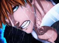  Manga Bleach