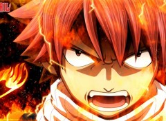  Manga Fairy Tail