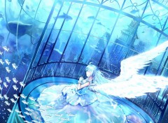  Manga Ange aquatique