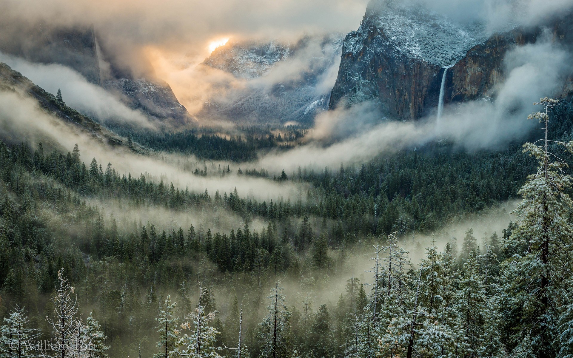 Fonds d'cran Nature Arbres - Forts Yosemite National Park