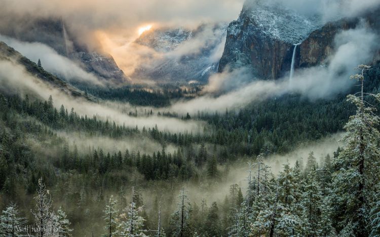 Wallpapers Nature Trees - Forests Yosemite National Park