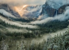  Nature Yosemite National Park