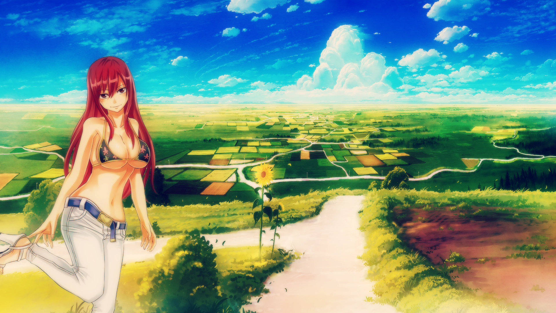 Wallpapers Manga Fairy Tail Erza Scarlet - Horizon Campagne