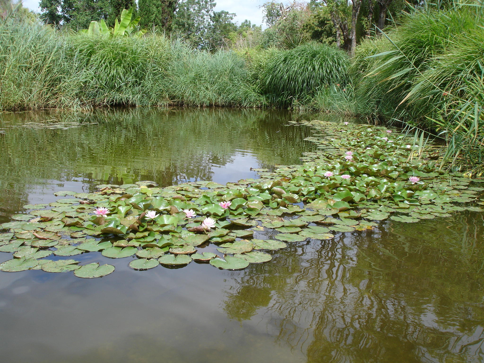 Fonds d'cran Nature Lacs - Etangs 