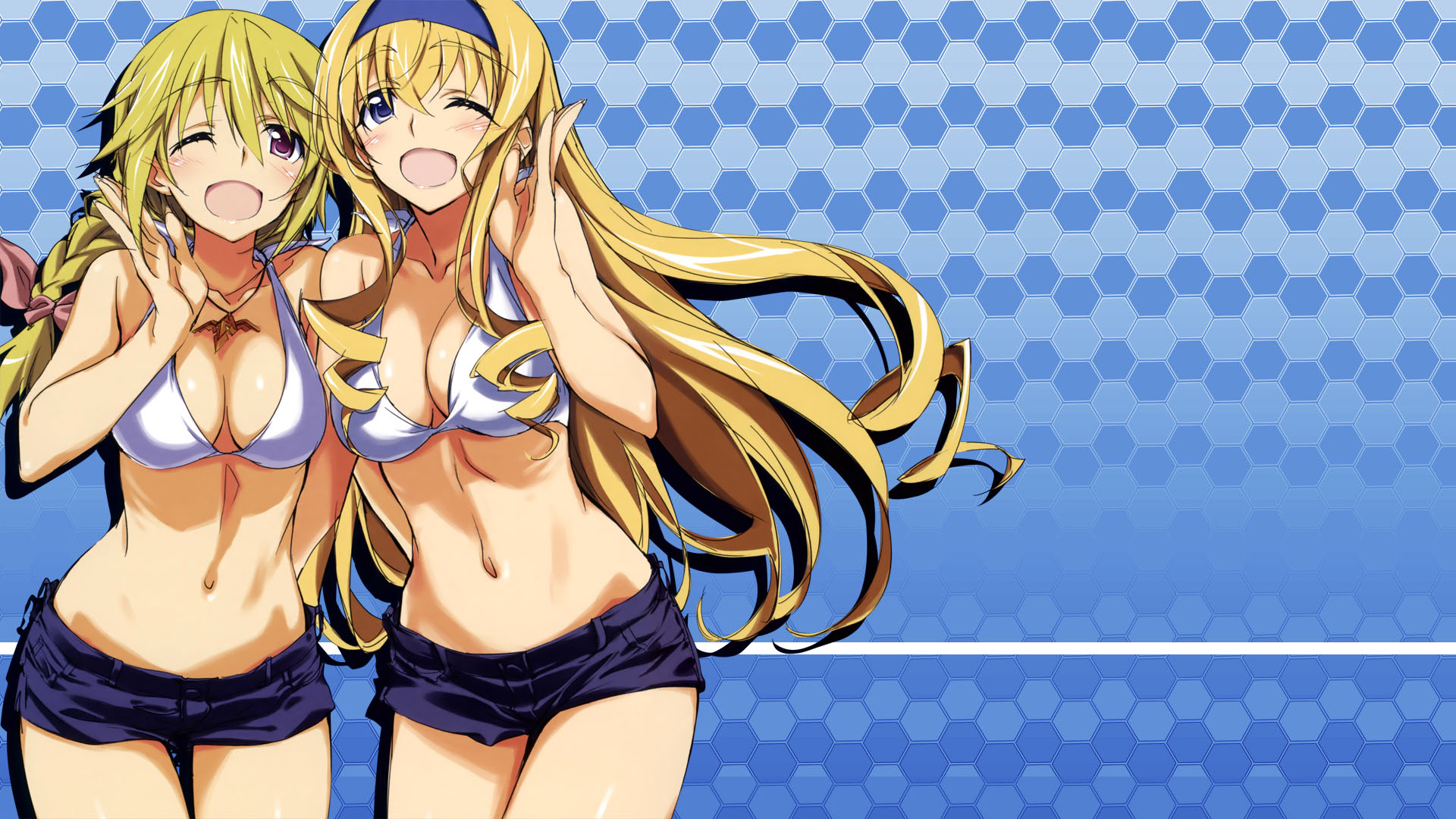 Wallpapers Manga Infinite Stratos Infinite Stratos