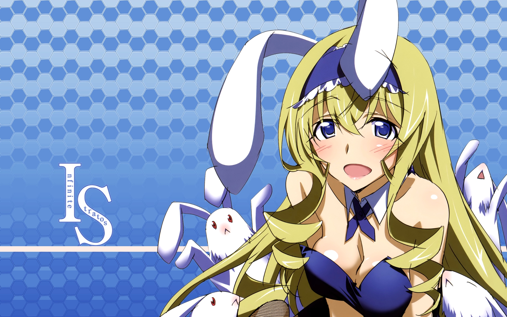 Wallpapers Manga Infinite Stratos Infinite Stratos