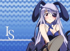  Manga Infinite Stratos