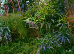  Nature JARDIN DES PLANTES