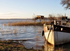  Nature Estuaire de la Gironde