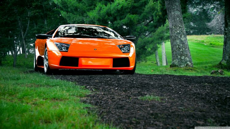 Wallpapers Cars Lamborghini Wallpaper N368647