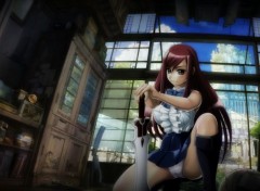  Manga Erza Scarlet - Sexy Pantie (Culotte Sexy)