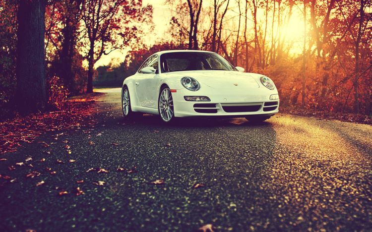 Wallpapers Cars Porsche Wallpaper N368788