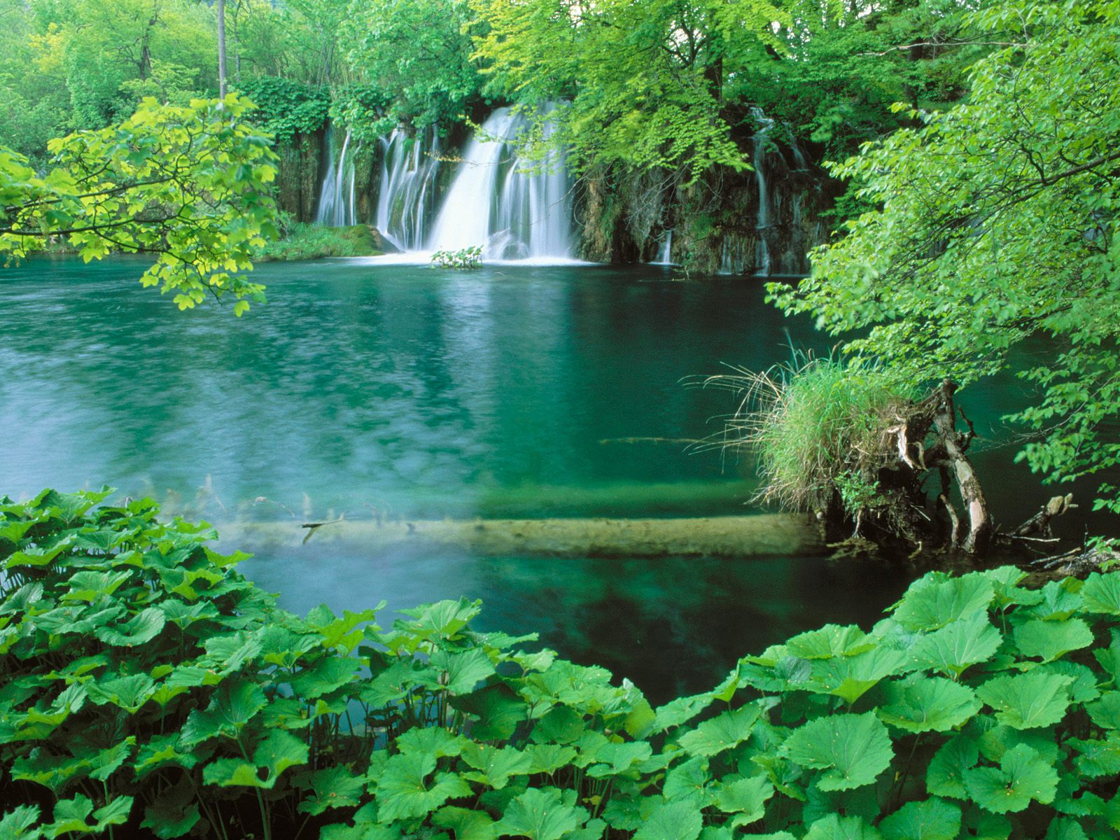 Fonds d'cran Nature Cascades - Chutes 